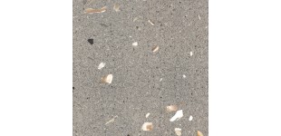 Pittiperla